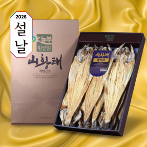 횡성맑,프리미엄 구정 선물세트, 황태포 10미(46~48cm), 2026년 최신 제품, 7만원대 법인 추천